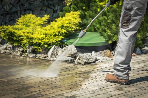 Best Spring Cleaning  in North Catasauqua, PA